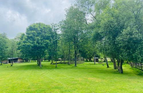 Daffodil House , West Wales - Foto 25