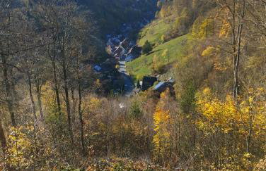 Olifant in Osterode - Foto 70