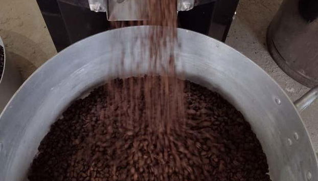 Osservando il processo di produzione del caffè