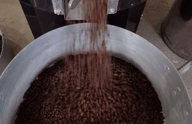 Visita a uma fazenda de café orgânico - Foto 3