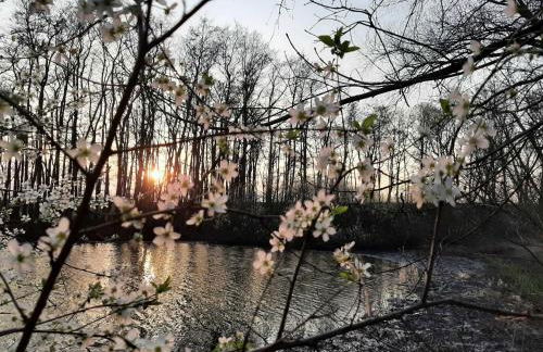 Ferienwohnungen Stellerbruch - Foto 6