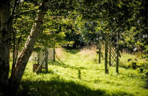 Home Comforts in Peaceful 2 Acres - Photo 62