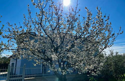 A casa di Marco Guesthouse - Apt di Ciampino e stazione per Roma - Foto 26