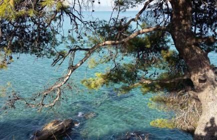 Lia's Beach House - Foto 26