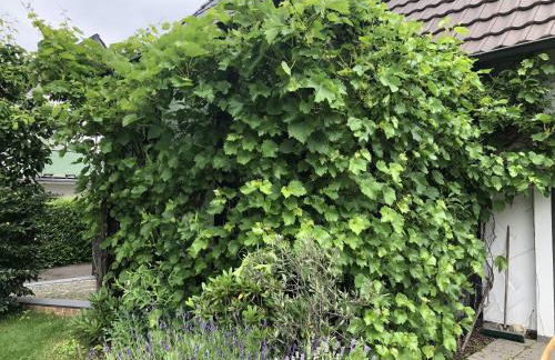 Bel Art Atelier mit großem Parkplatz - Foto 24