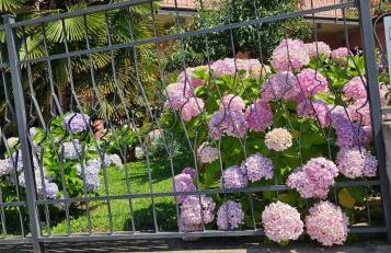 La baia d'acquadolce - Foto 9