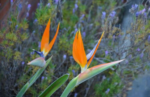 Sea view, Wonderful pool, Nature, Peaceful & AC - Foto 59