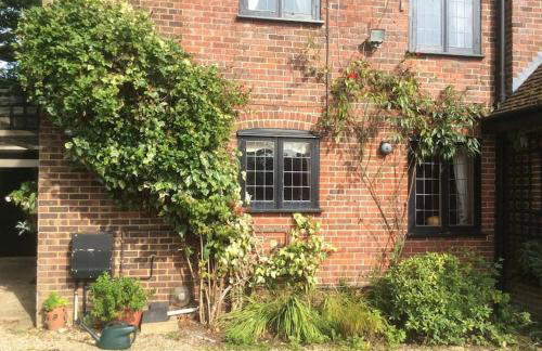 Holmans NEW FOREST - Photo 43