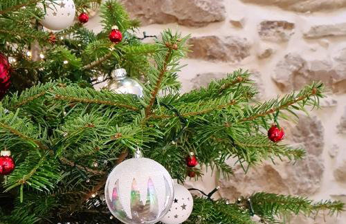 Beautiful Mill House by the sea, Nolton Haven - Foto 63