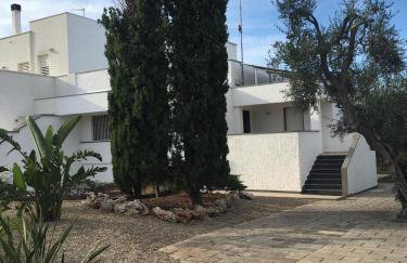 La casa accanto - Photo 3