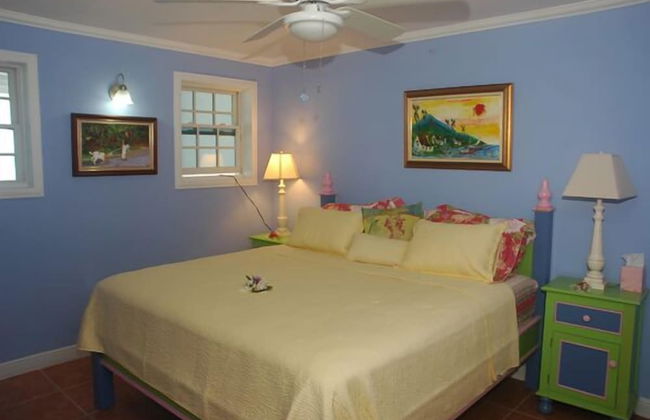 San Bar 6BR by Jamaican Treasures - Foto 14