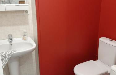 LOUHANS Les Petites Arcades avec ses deux appartements coté Arcades et coté cour - Foto 14