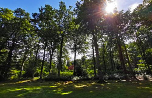La Verdoyante -Tennis Piscine-Proche Pont L'Evêque - Foto 31