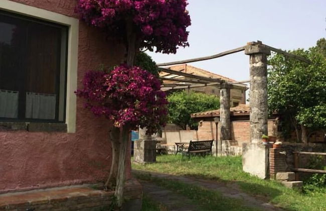 Codavolpe Giardino di Tea - Foto 29