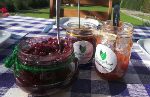 Miętowy Anioł - Foto 69