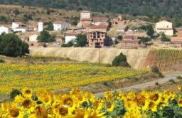 Casa Rural Camino de la Fuente - Foto 43