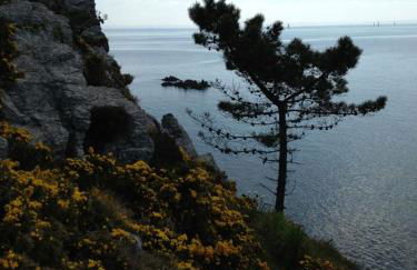 L'Imprenable vue mer - Photo 46