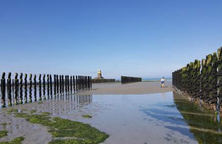 Les Clématites - Foto 23