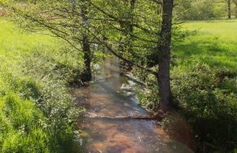 Wonderful Renovated Apartment With Great Location - Foto 46