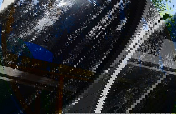 Metai Miške&a Year in the Forest - Photo 29