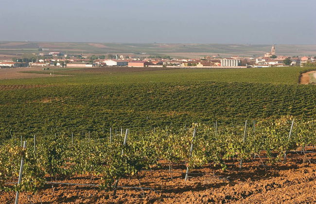 Bodegas De Alberto Tour - Photo 5