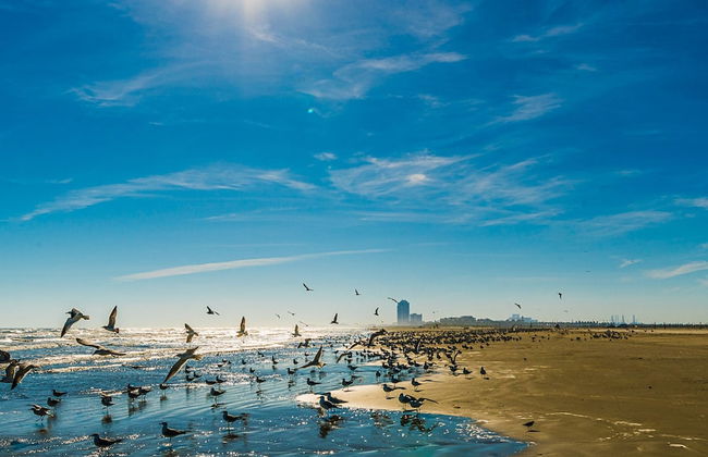 Beachside Paradise Retreat With Luxury - Foto 38