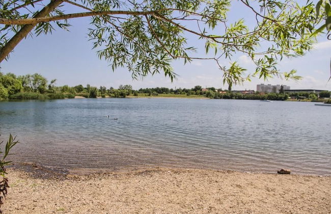 Dresdner-Tag Rosenherz - Foto 23