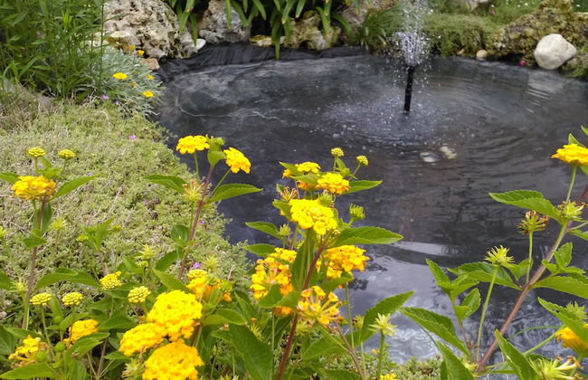 Villetta Dote - Photo 67