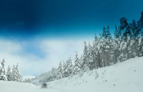 Luxurious Residence at the Village Square - Foto 42