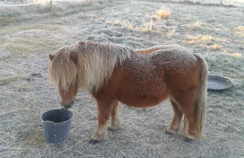 eco nature, gite à la ferme - Foto 38