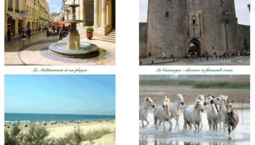 LA PICHIOLINE - Foto 2