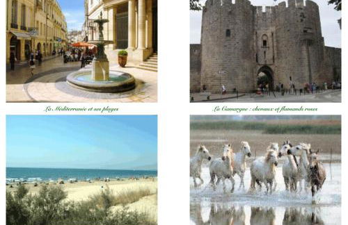 LA PICHIOLINE - Foto 2