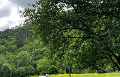 La casita de Olivia Espinaredo - Foto 61