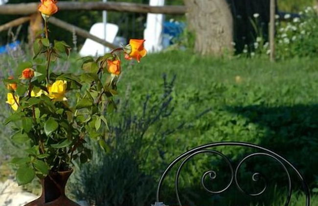 Agriturismo Sol Alto - Foto 11