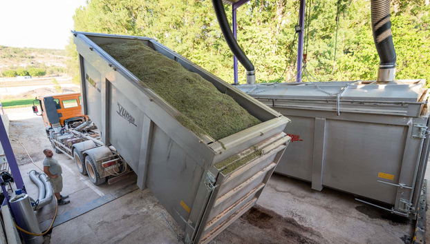 Brihuega Lavender Fields + Distillery Tour - Foto 5