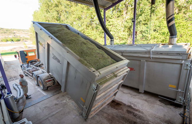 Brihuega Lavender Fields + Distillery Tour - Foto 5