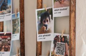 Auszeit & Natur - ländliche Fachwerkhaushälfte - Foto 10