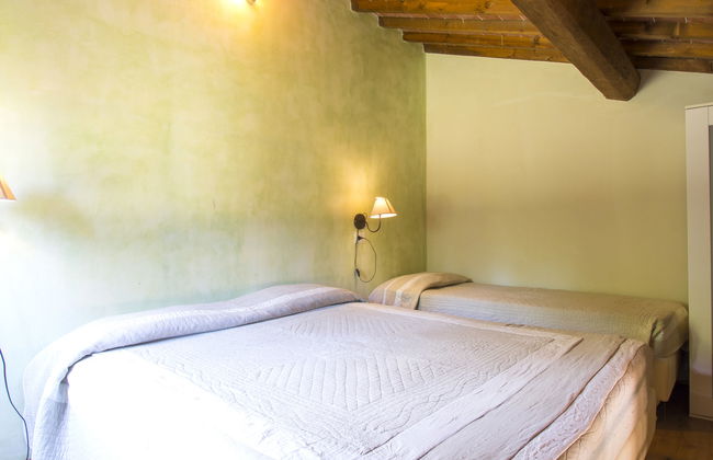 Il Felciaione - Foto 14