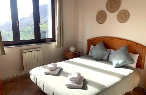 Escuelas de collía C AT-1537-AS - Photo 13