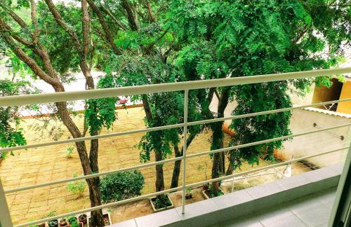 Flat Pé de Mamão - Photo 12