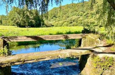 Cocon Nature et bain nordique à 37 degrés - Foto 8