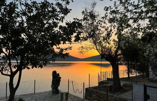 Little Bit Of Heaven - Photo 24