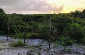 Casa Aratu Guaiú Barra de Mamanguape - Photo 6
