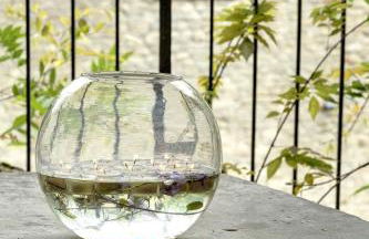 My Exclusive Italy - Entire Hilltop Villa with Private Pool - Foto 22