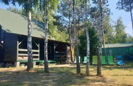 domki nad jeziorem, las, do 10 osób jezioro Wilczyńskie Budzisławskie - domek letniskowy osobno ogrodzony, ogrzewany mile widziane pieski, zwierzeta- wielkopolska, 62-550 Zygmuntowo gm Wilczyn - Photo 13