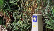 Habitaciones La Cuevona de Guitiriz,Parga, en el camino norte Lugo - Photo 5