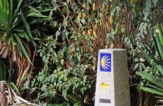 Habitaciones La Cuevona de Guitiriz,Parga, en el camino norte Lugo - Photo 5