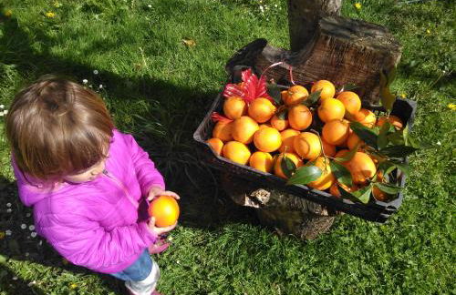 Agroturismo La Casona de Belmonte - Foto 106