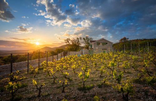 Villa Cavalleria Rusticana with heated pool and vineyard - Photo 58