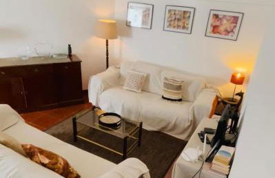 Santuário SOS Animal - Foto 54